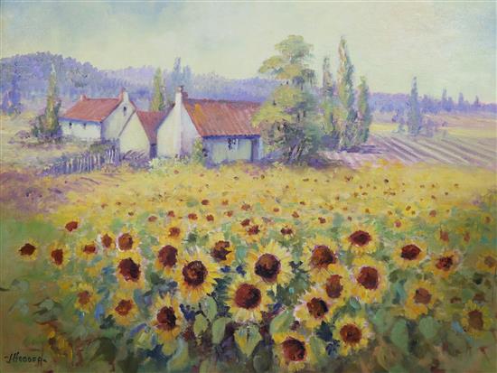 Jo Hodder, oil on board, cottage in a field of sunflowers